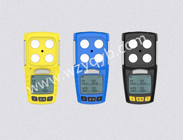 便(bian)攜式氣(qi)體檢測(ce)儀多組(zǔ)分