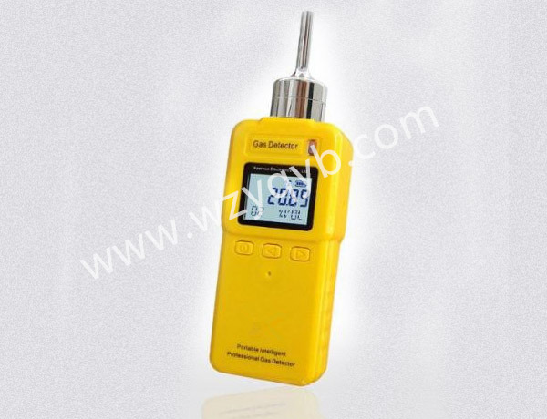 便(biàn)攜式氣(qì)體檢測(cè)儀